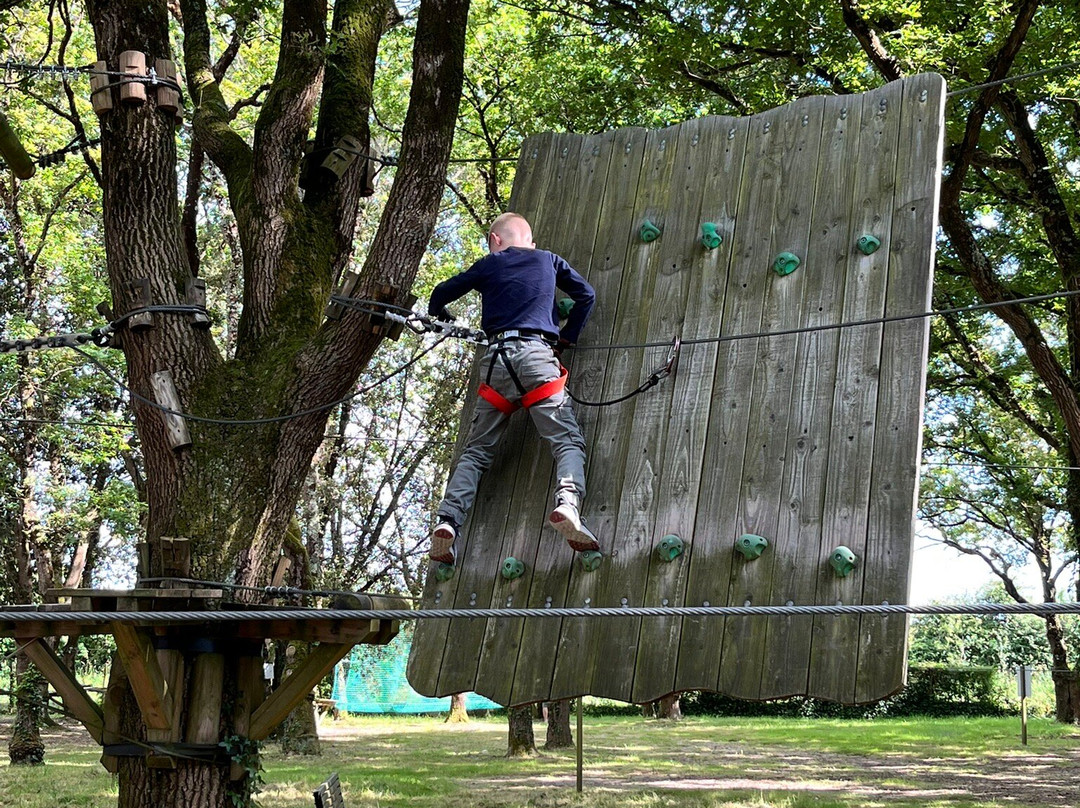 Piriac Adventure Tree climbing-Piriac-sur-Mer必去景点