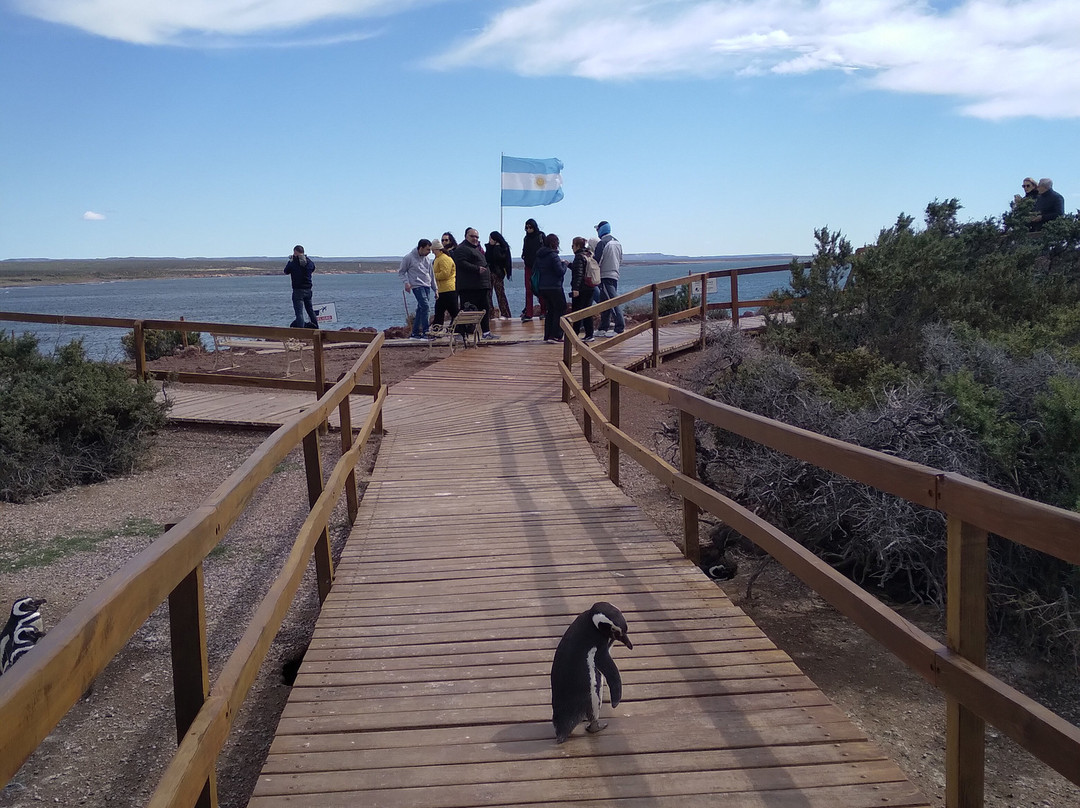 Punta Tombo-Dos Pozos必去景点