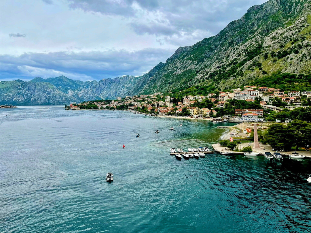Kotor Tour Guide景点图片