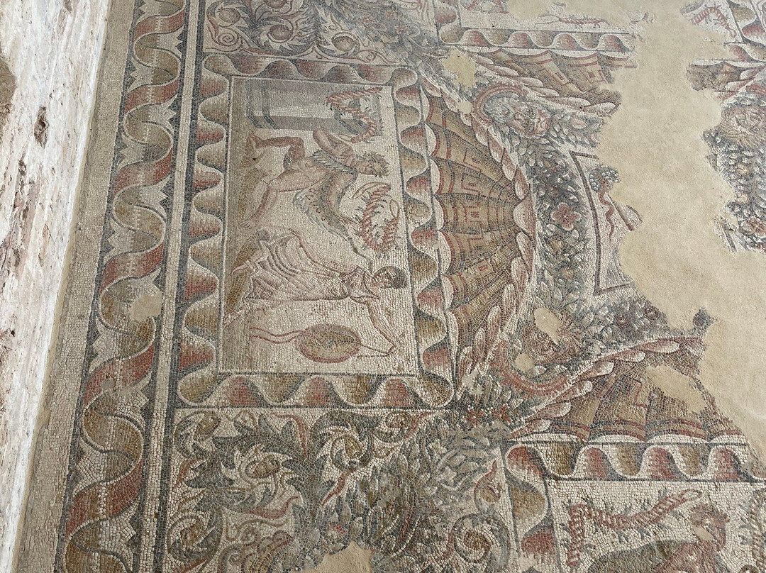 Villa Romana del Tellaro景点图片