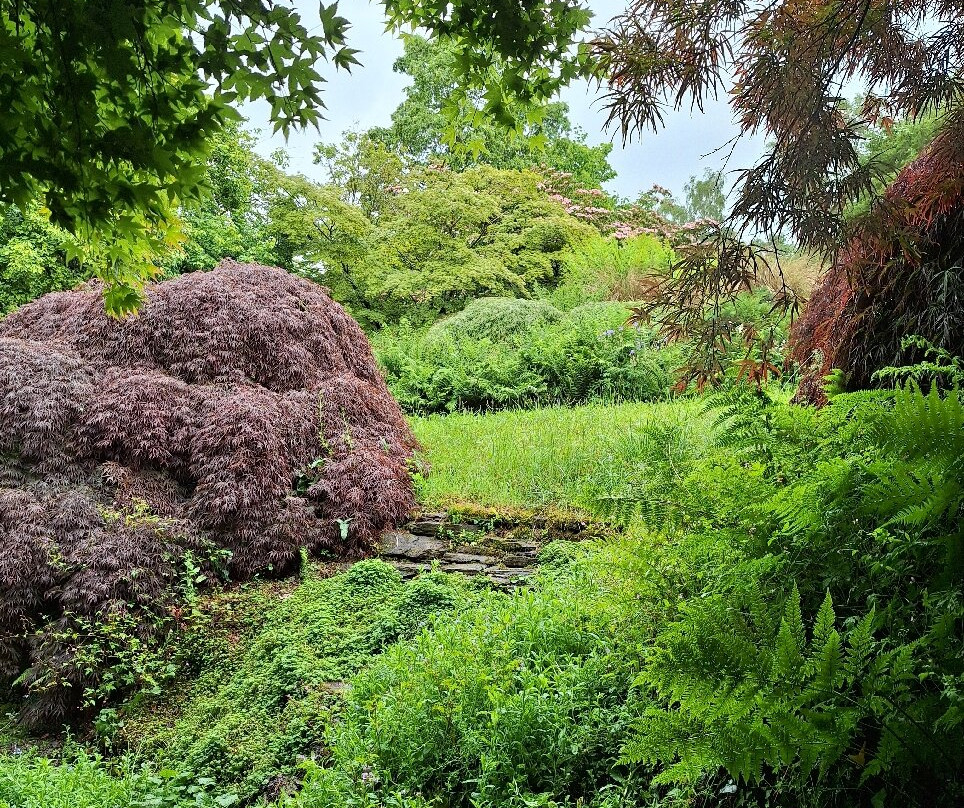 The Garden House-Yelverton必去景点