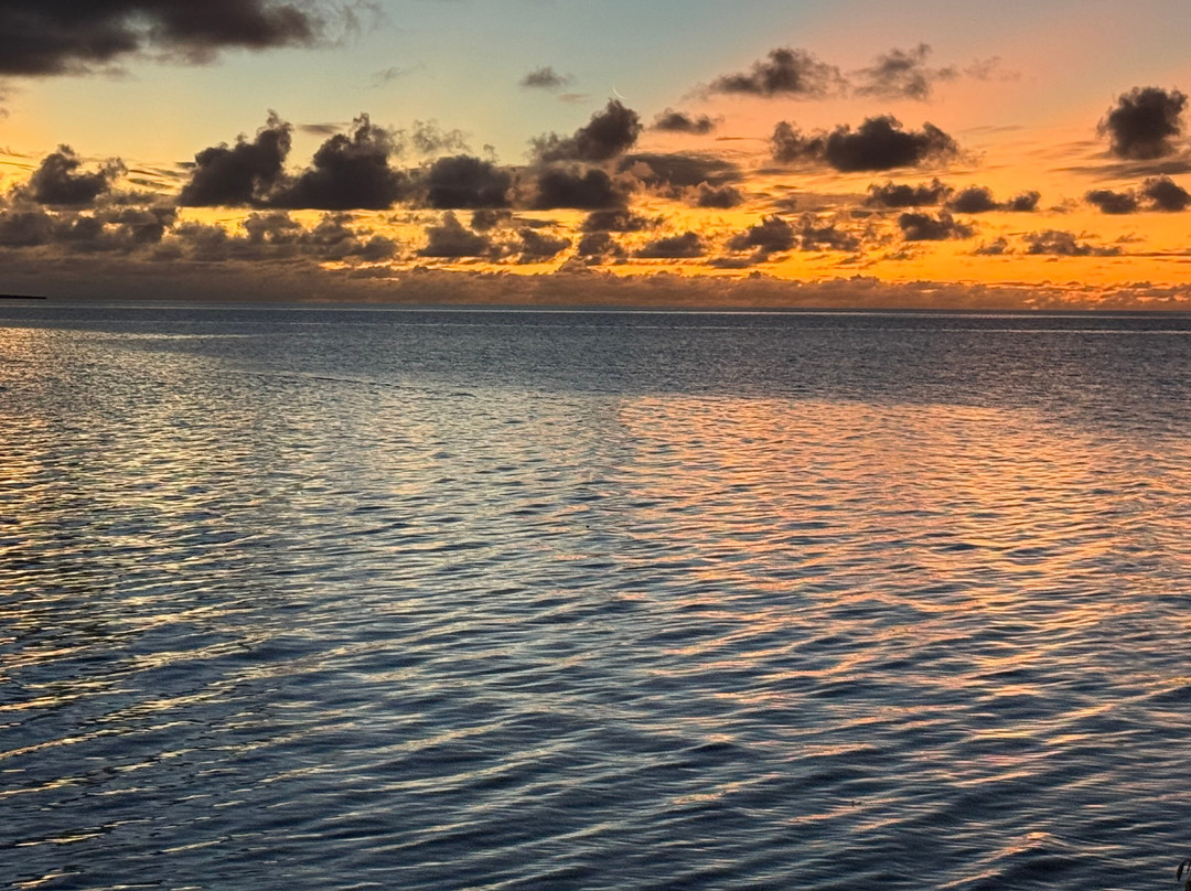 Nukubati Great Sea Reef主图