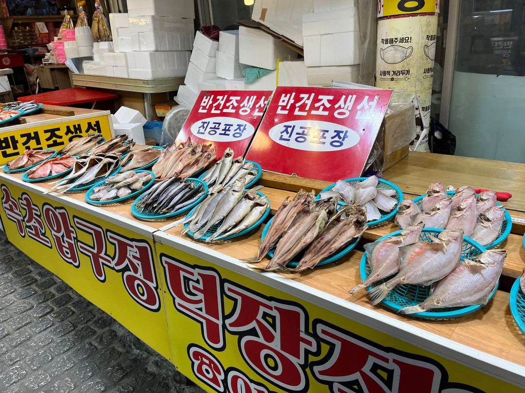 Sokcho Central Market-束草市必去景点
