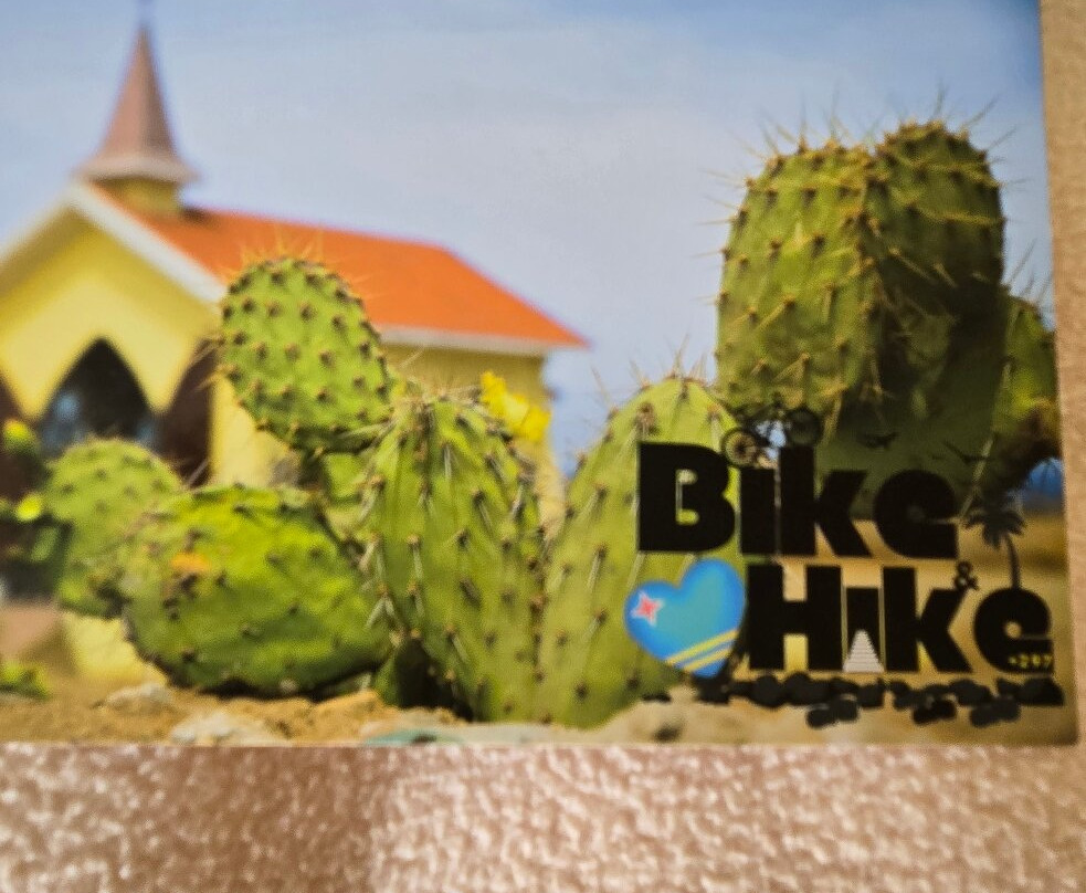 Sunrise baby beach Adventure by Bike and hike Aruba-奥腊涅斯塔德必去景点