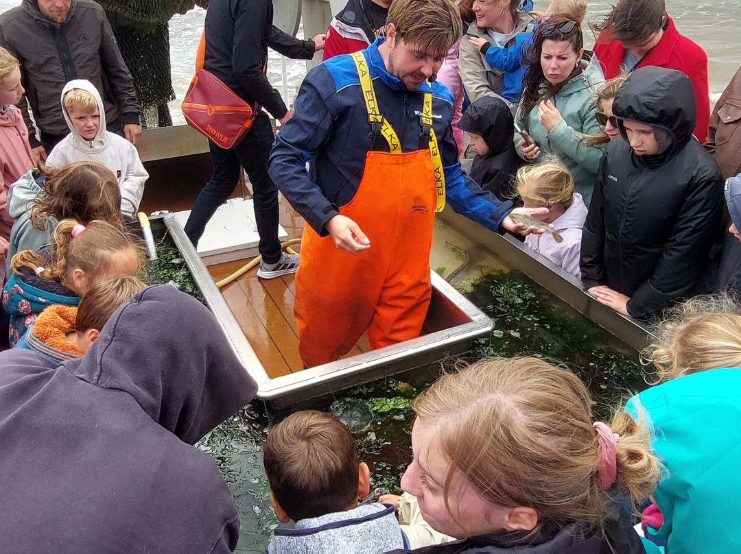 Expeditie Waddenzee景点图片