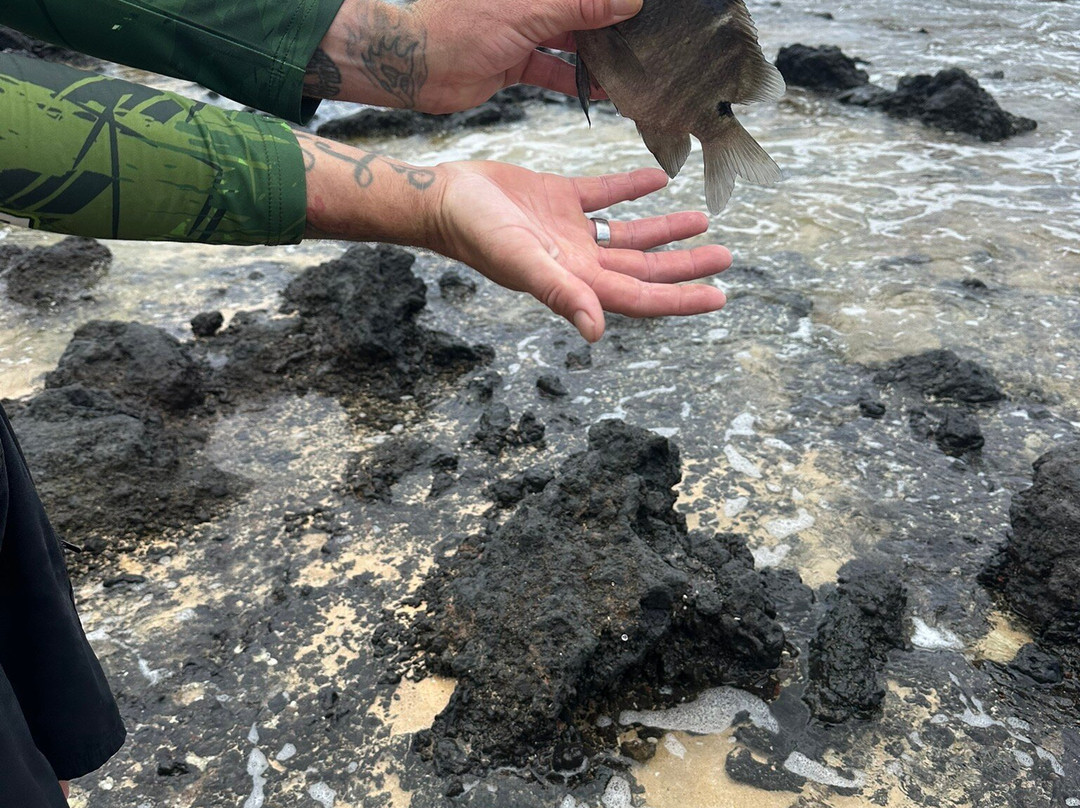 Charley Young Beach-基黑必去景点