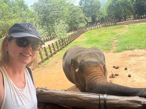 Mr.Taxi.lk - Negombo ( Katunayaka Airport Drops & Picups)-尼甘布必去景点