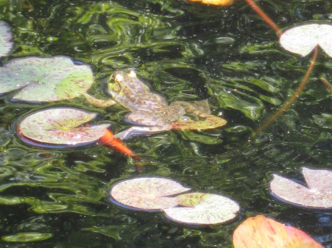 Armstrong-Kelley Park-Osterville必去景点