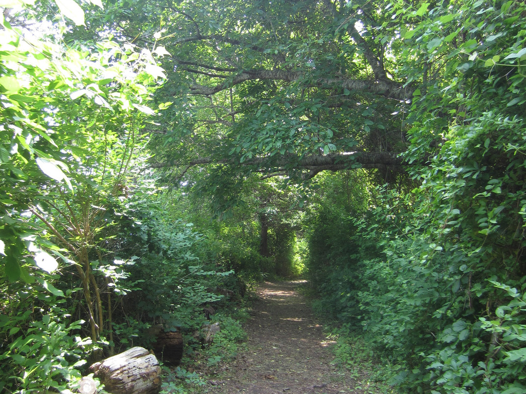 John Wing Trail景点图片
