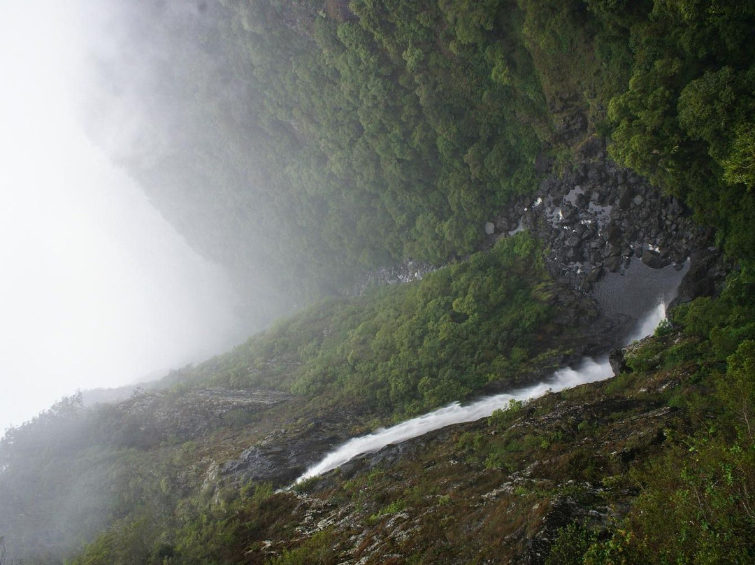 Ellenborough Falls-Elands必去景点