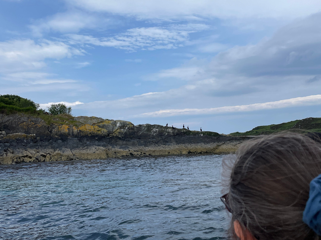 Seafari Adventures景点图片