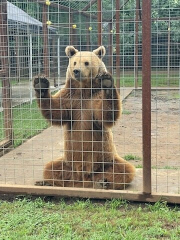 Safari Zoological Park景点图片