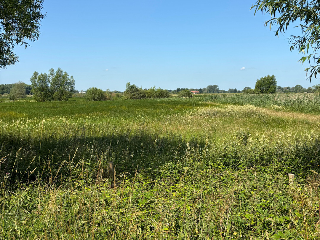 Marcel de Gand主图