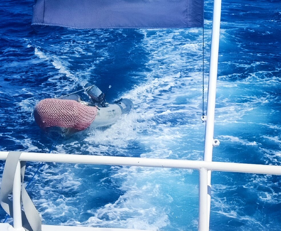 Sataya Dolphin Reef-马萨阿拉姆必去景点