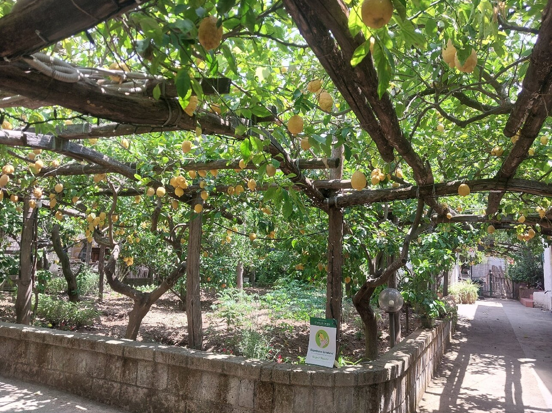 I Giardini di Cataldo-索伦托必去景点