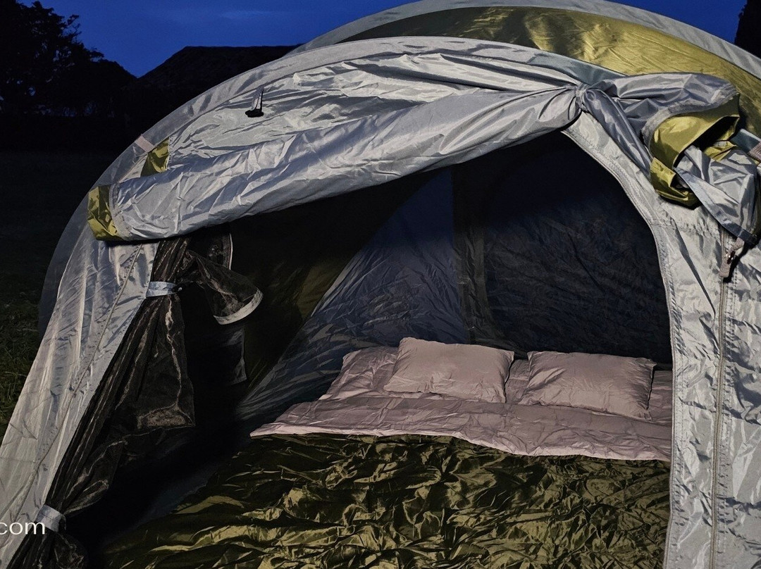 Stargazing Tents