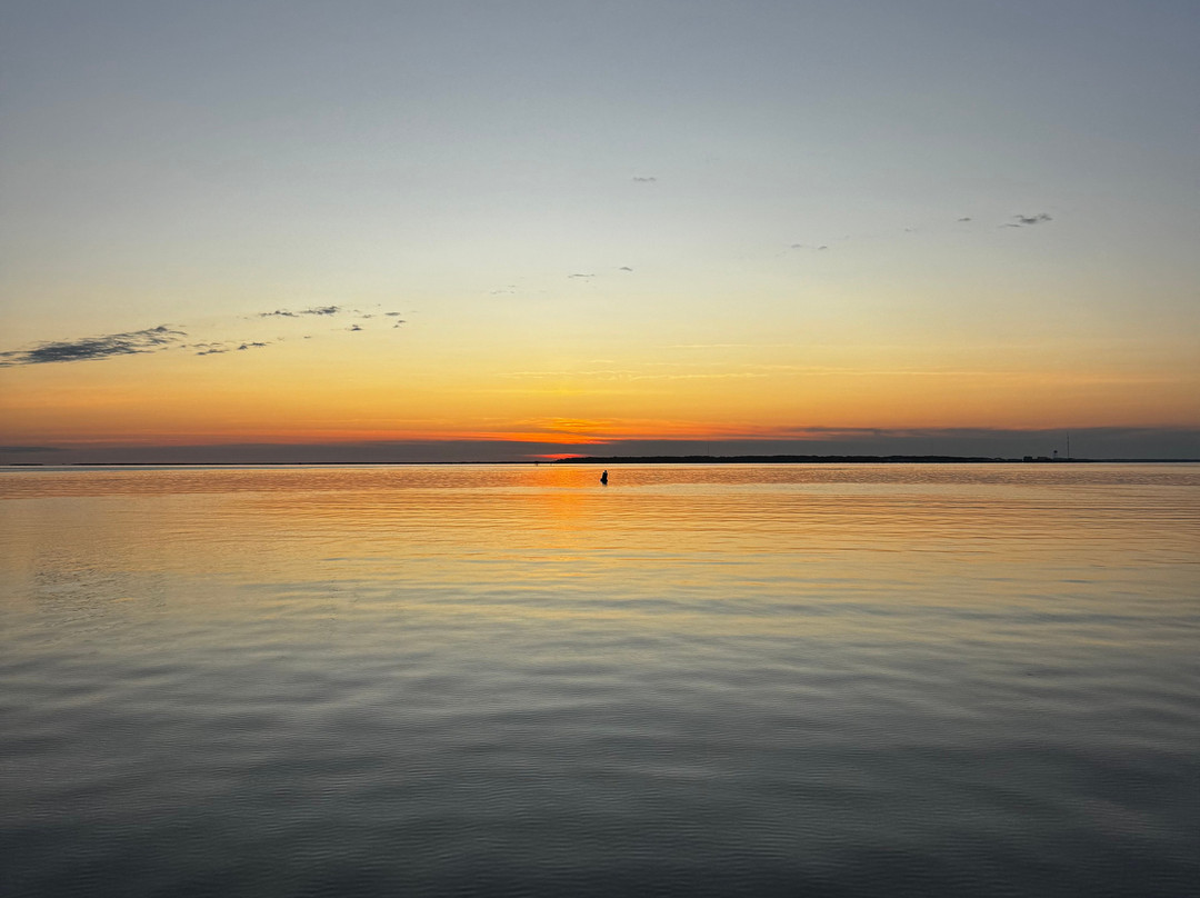 Paradise Dolphin Cruises-Wanchese必去景点