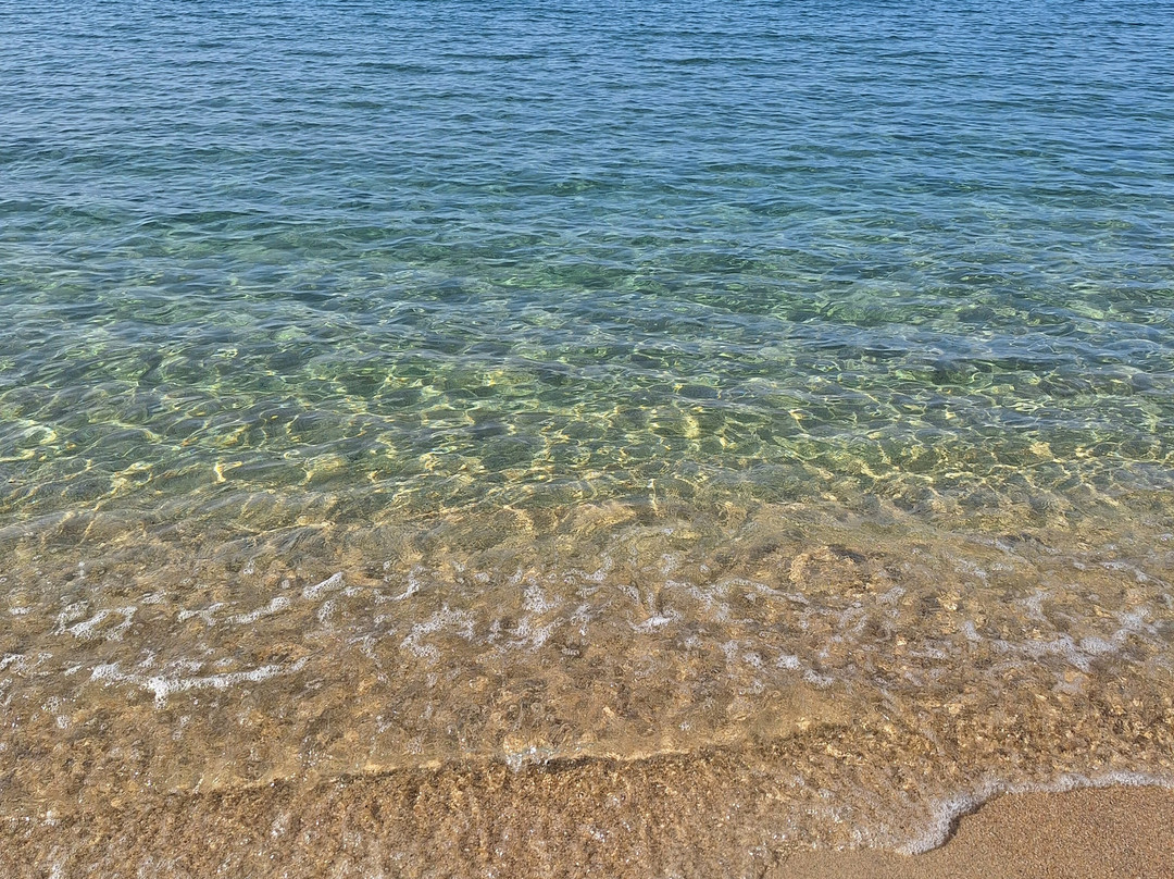 Spiaggia di Cavoli-Seccheto必去景点
