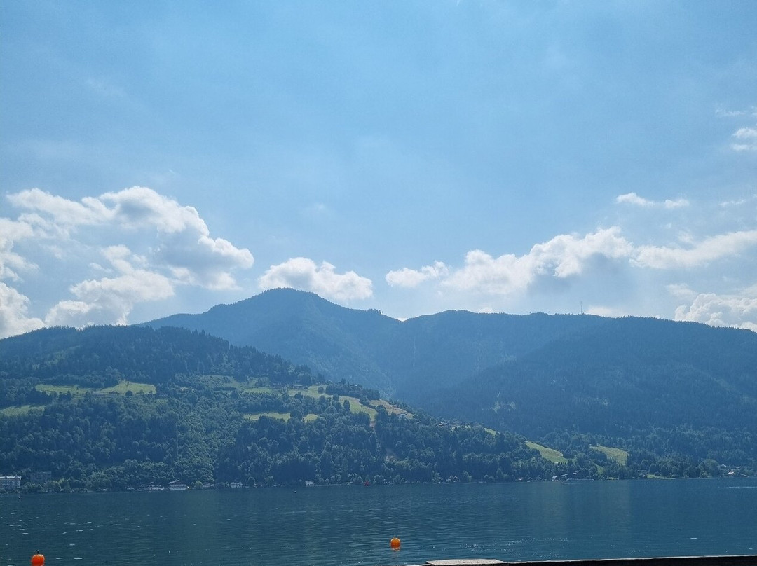 Hotel Der Waldhof主图