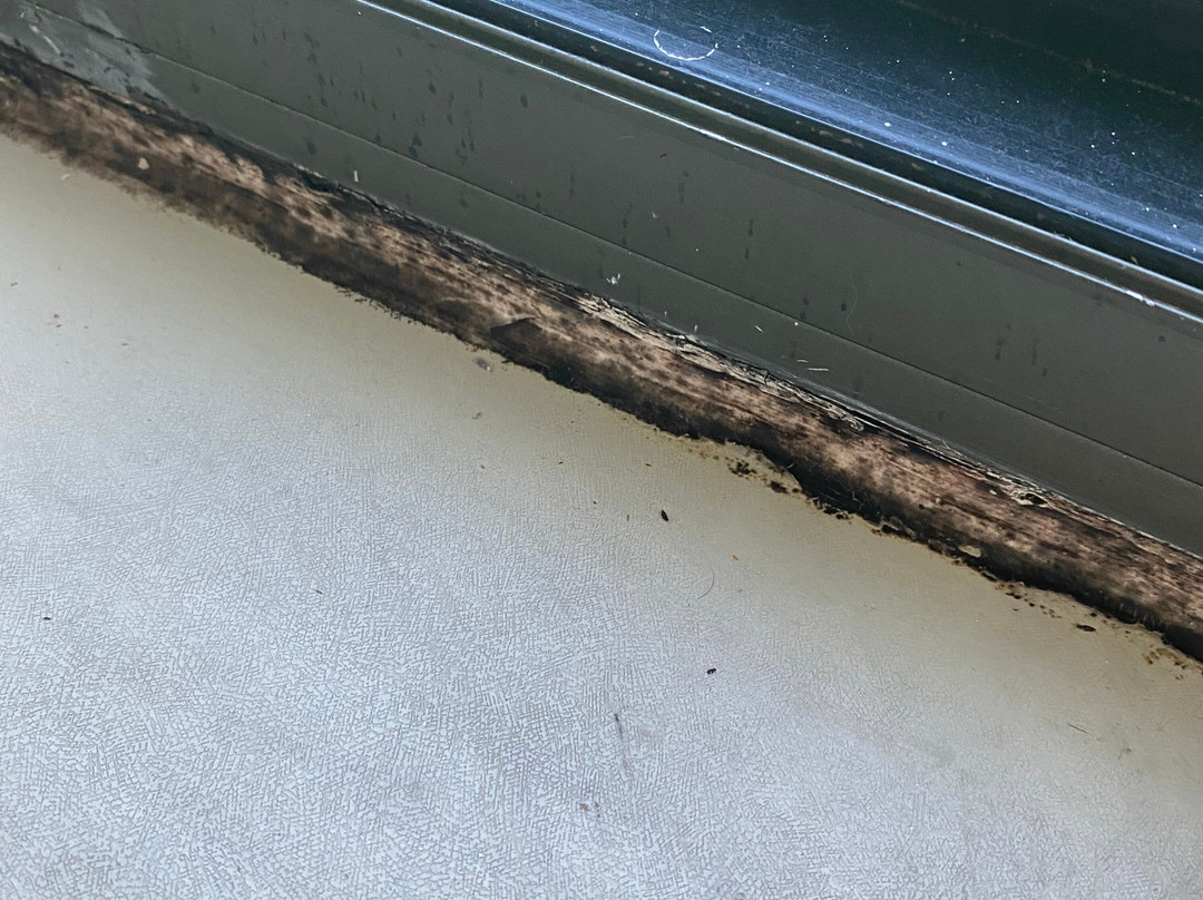 Super 8 by Wyndham Galesburg