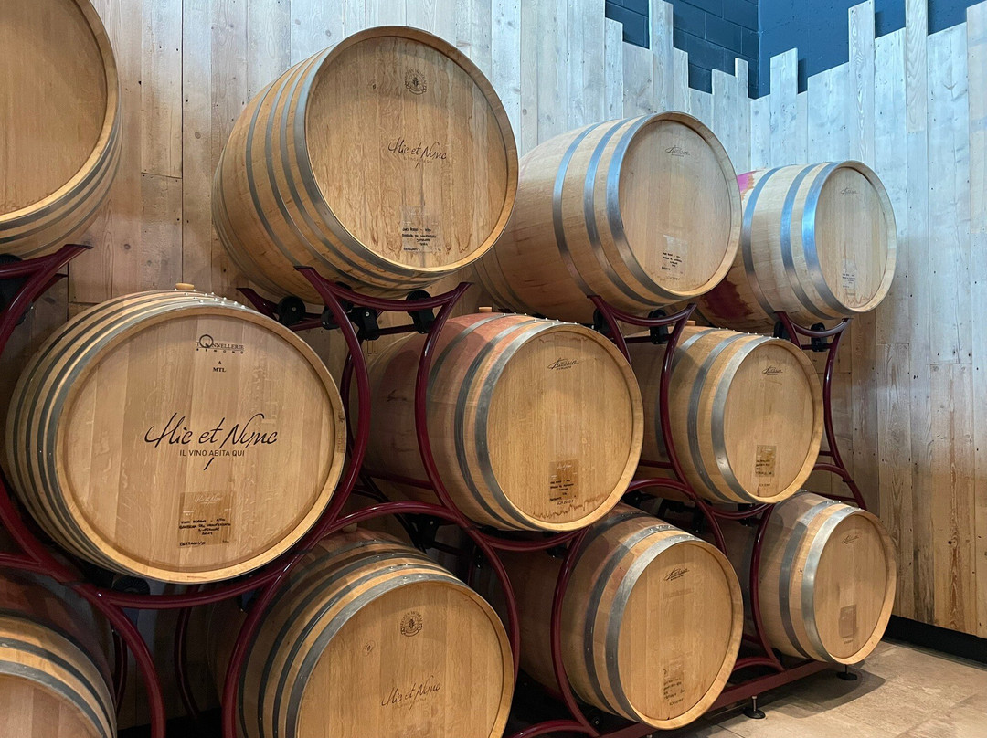 Cantina Hic Et Nunc-Vignale Monferrato必去景点