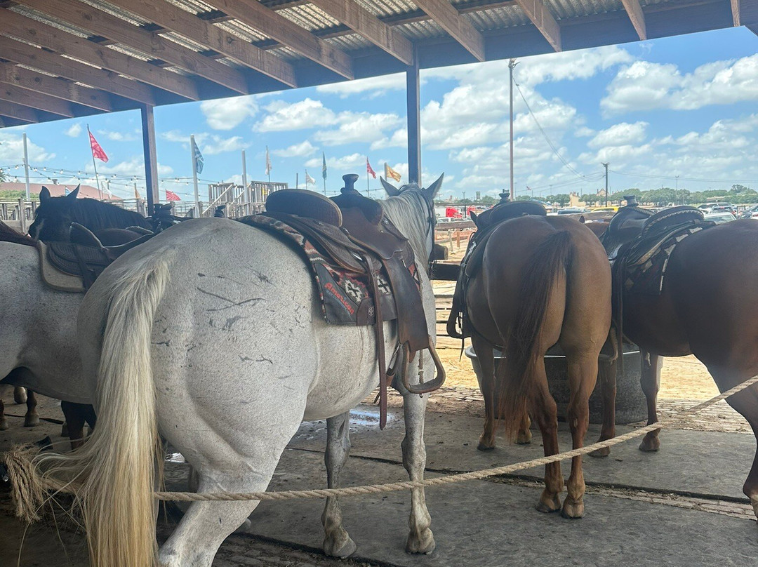Fort Worth Stockyard Stables-沃思堡必去景点