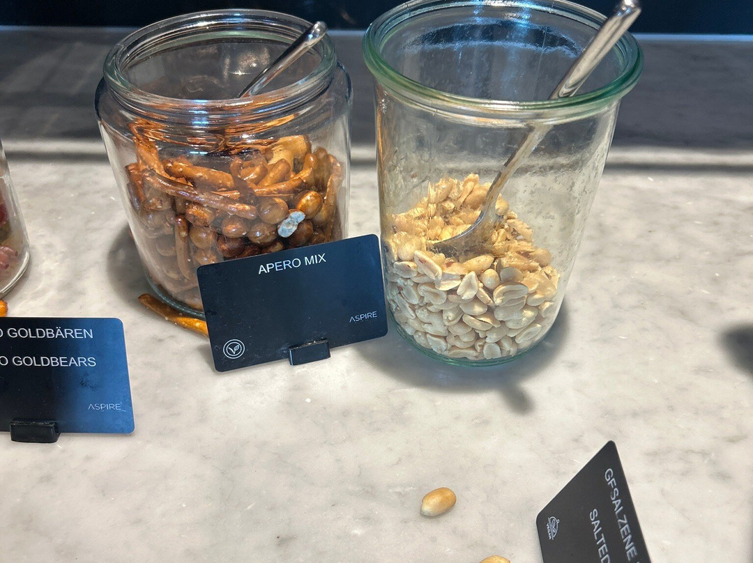 Aspire Lounge at Zurich Airport-奥普菲孔必去景点