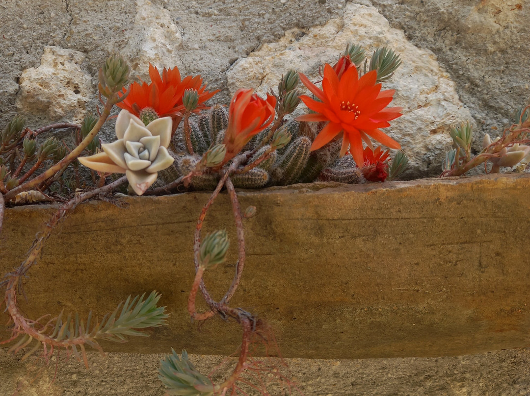 Autenticum Agriturismo Tolfa
