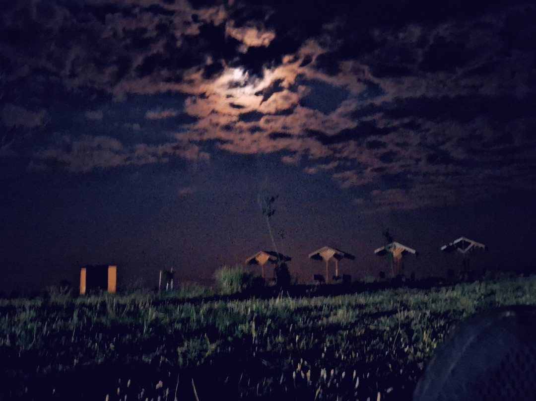 Saroz Korfezi-Edirne必去景点