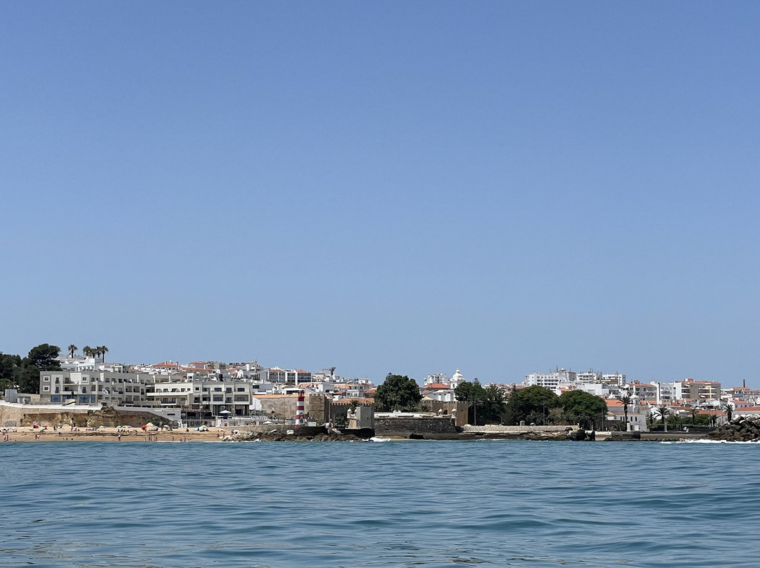 Algarve Seafaris-维拉摩拉必去景点