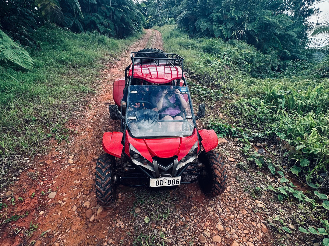 Terra Trek Tours-太平洋港必去景点