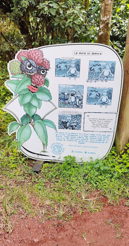 Los Gemelos-圣克鲁斯必去景点