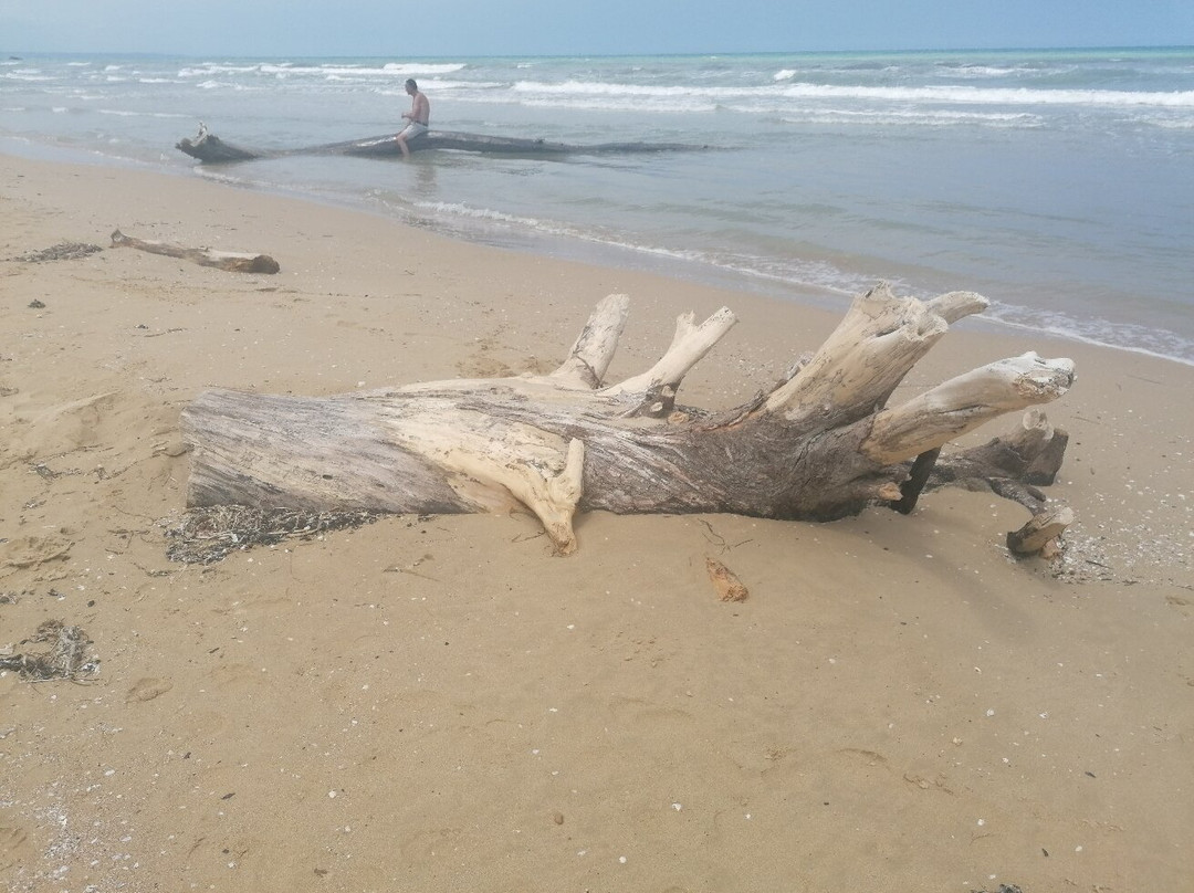 Spiaggia di Punta Penna-瓦斯托必去景点