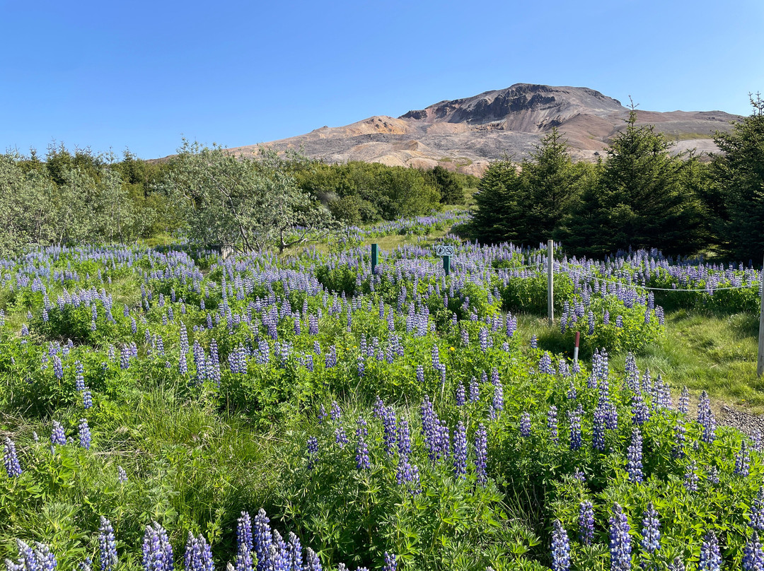 Dráphlíðarfjall-Stykkisholmur必去景点
