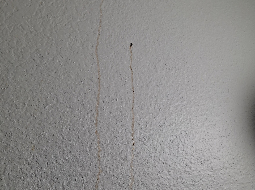 Suburban Studio主图