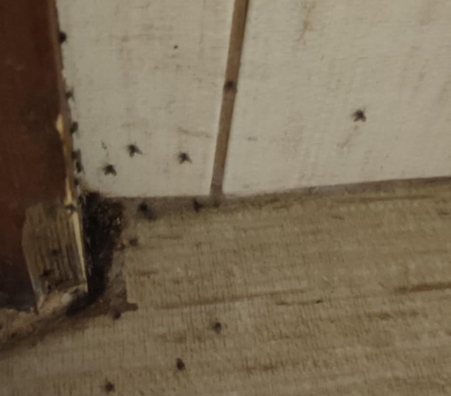 Romantzo Hotel主图