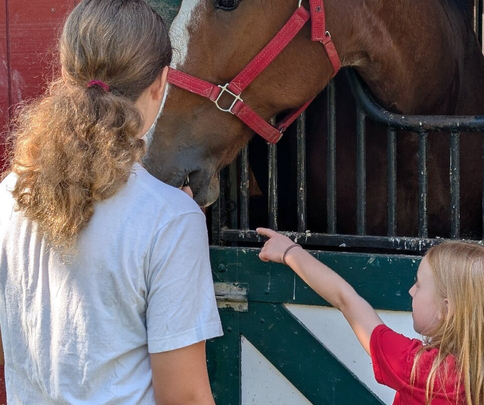 格兰特农场-圣路易斯必去景点