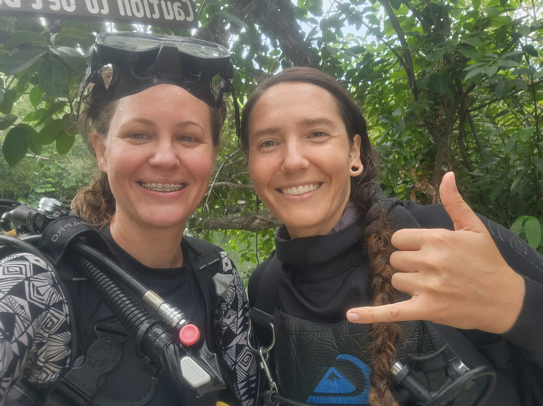 Sanctuary Divers-图伦必去景点