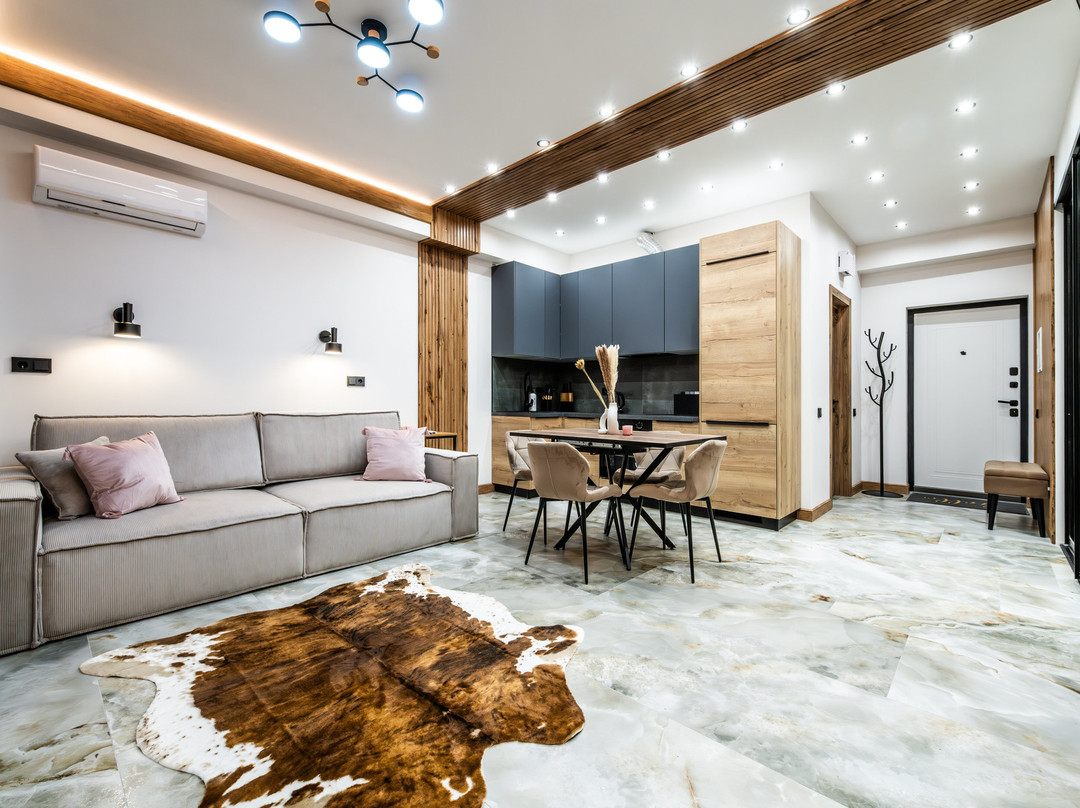 Apartments Oplot主图