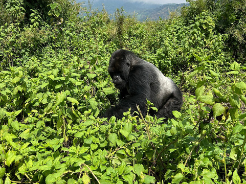 Makario Safaris Ltd.-吉佳利必去景点