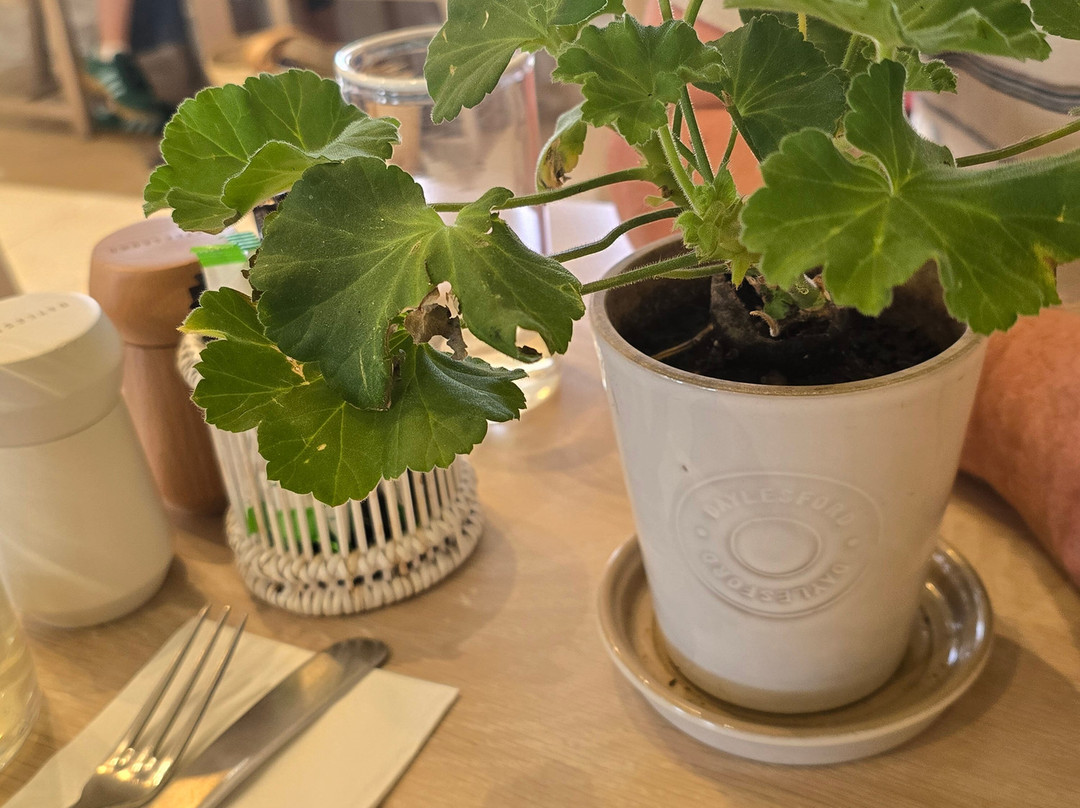 Daylesford Organic-Kingham必去景点
