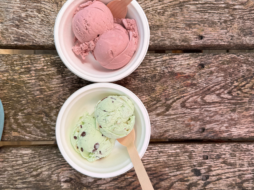 Black Moshannon State Park-Philipsburg必去景点