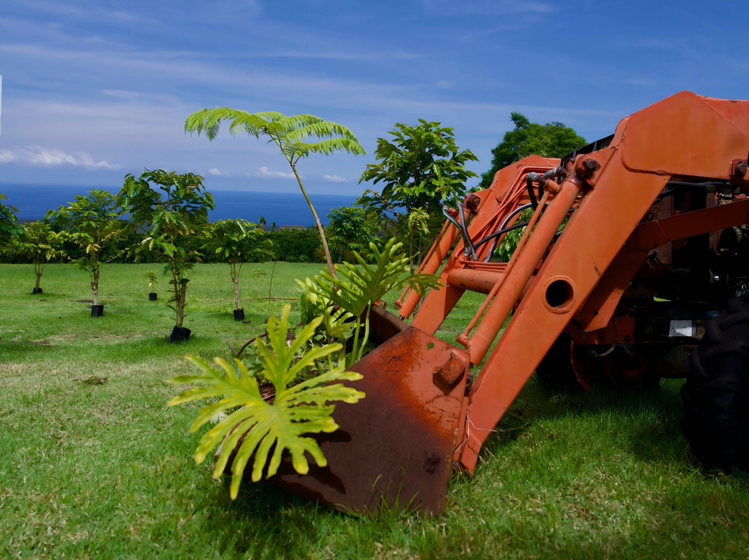 大视野农场-霍那吾那吾必去景点