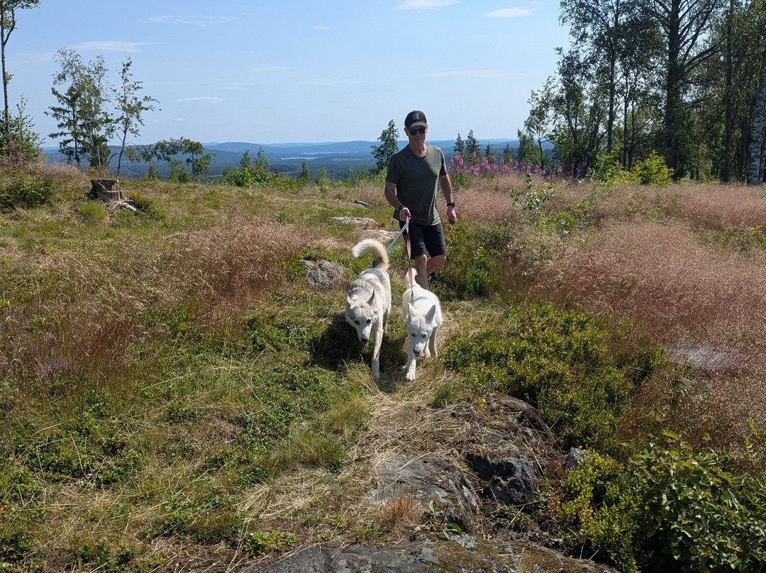 Måsek's Kennel-Sagmyra必去景点