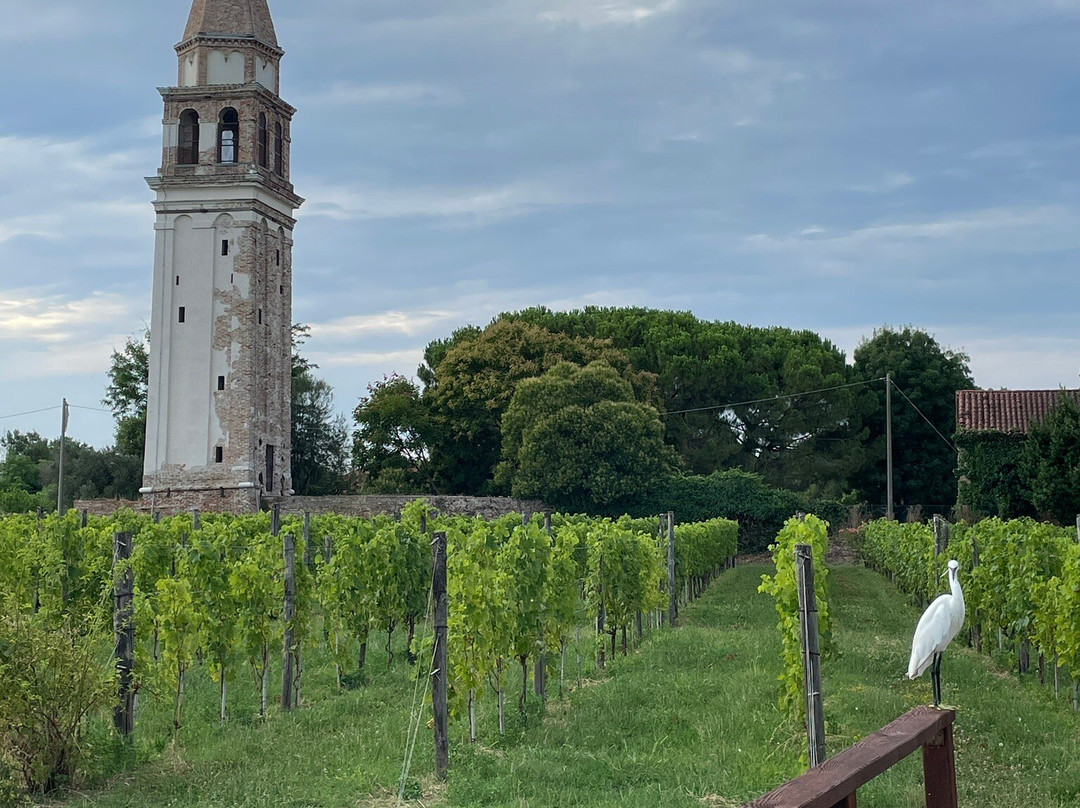 Venissa-Mazzorbo必去景点