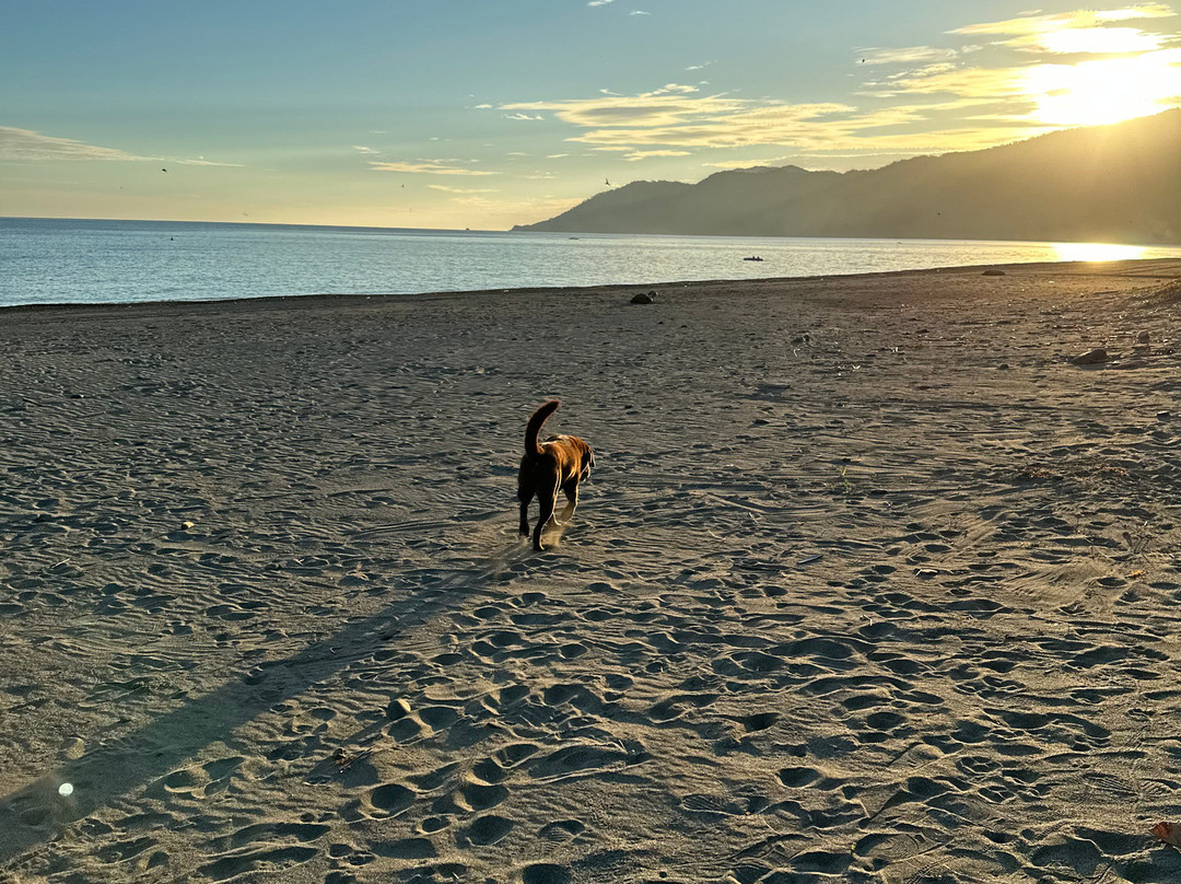 Pannzian Beach主图