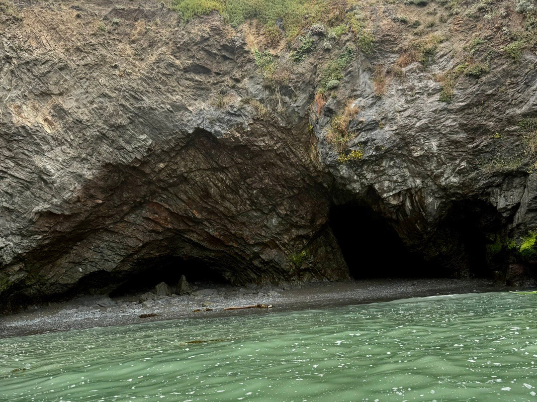 Kayak Mendocino-Little River必去景点