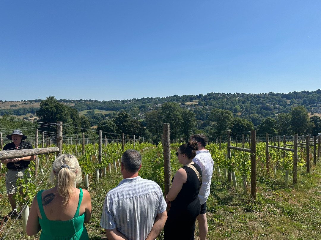 Woodchester Valley Vineyard-斯特劳德必去景点