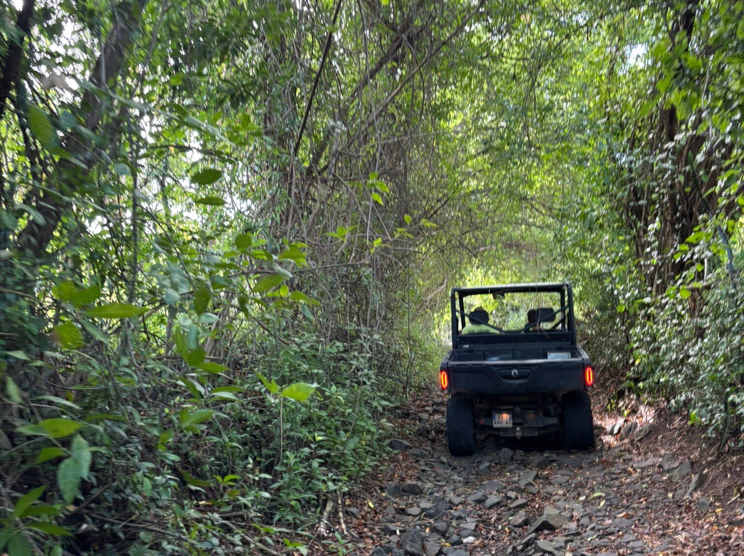 Trial Caraibe-Trois-Ilets必去景点