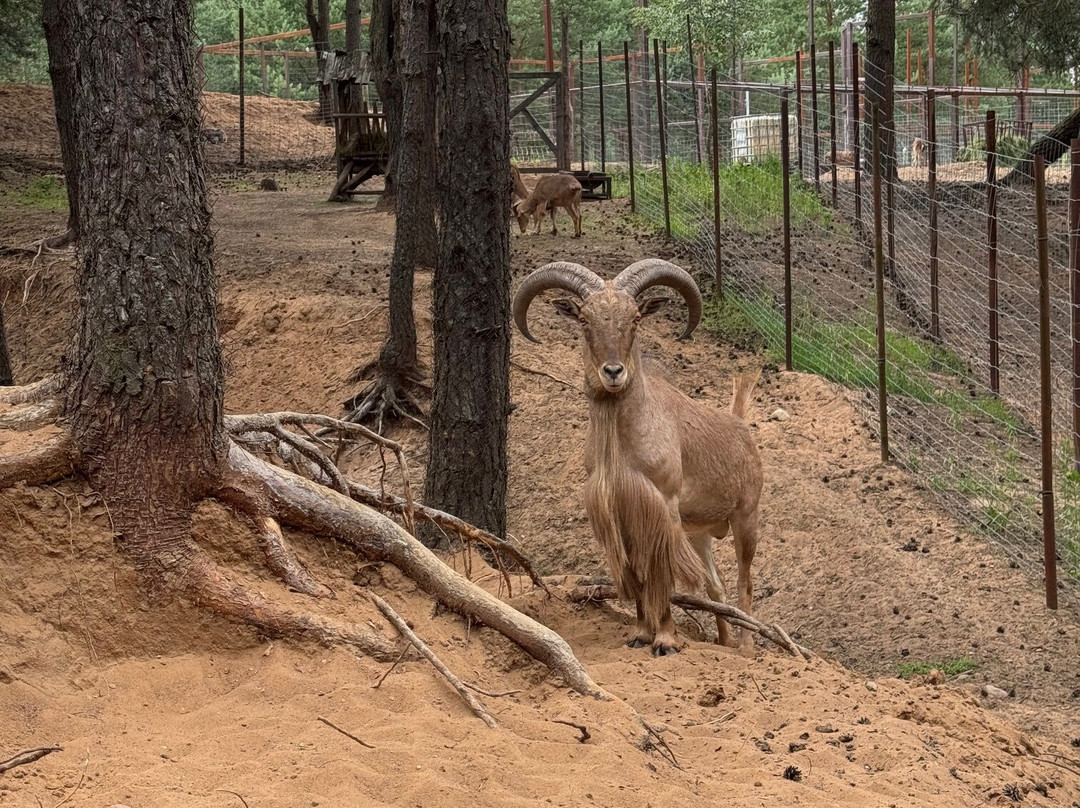 Animal Park-Baranovichi必去景点